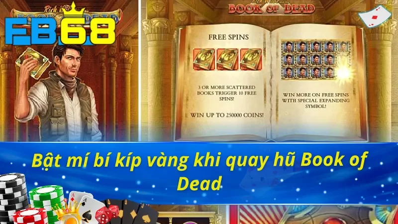 Book Of Dead - Khám Phá Tựa Game Đỉnh Cao Làng Nổ Hũ 4 Bật mí bí kíp thắng lợi khi quay hũ Book of Dead
